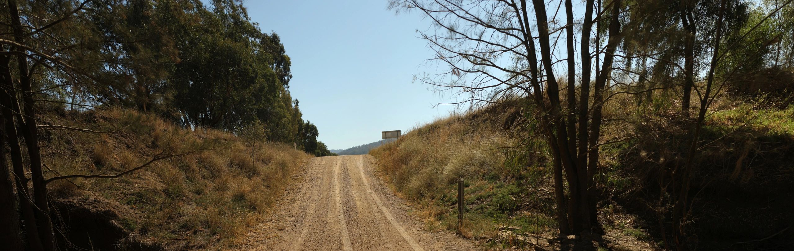 Rural New South Wales road stretching into the distance